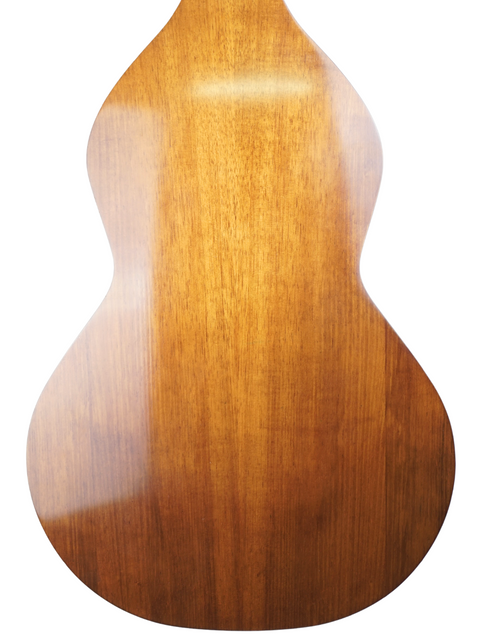 A beautifully crafted guitar featuring a wooden back and neck, identified as Sachar Amos Custom 'Weissenborn' from 2007.