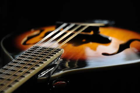 MANDOLINS