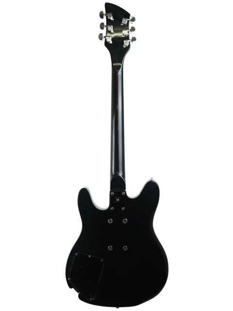 Rickenbacker 230 Hamburg - USA 1999