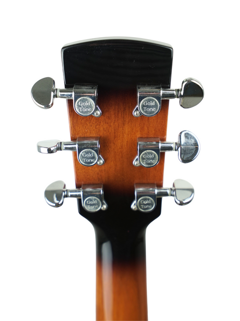 Gold Tone Paul E. Beard Signature Roundneck Resonator -  CHN