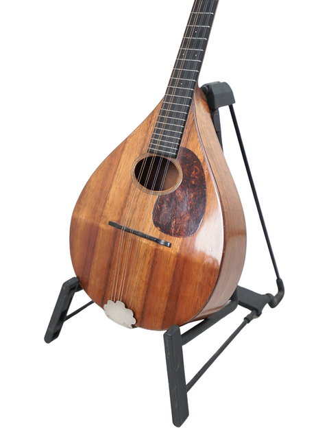 A classic 1924 Martin AK Mandolin on a stand, emphasizing its rich wooden body and vintage craftsmanship.