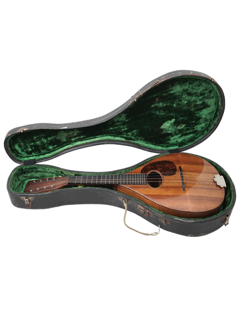 A green case holds a vintage 1924 Martin AK Mandolin, blending nostalgia with the beauty of classic musical instruments.