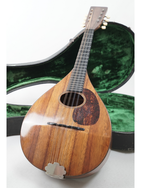 Classic 1924 Martin AK mandolin with a wooden body, housed in a stylish case.