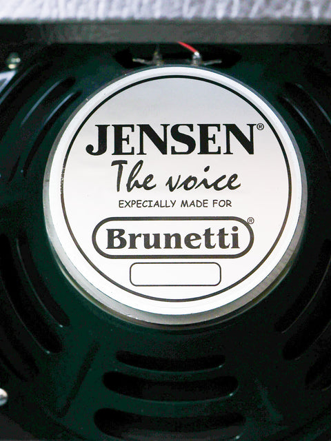 Close-up of the Jensen speaker inside the Brunetti Maranello Black Top 1x12” Combo amplifier, specially made for Brunetti – Italy 2016.