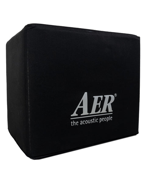 AER Domino 3 Acoustic Guitar Amplifier, featuring a modern design, highlighting its German engineering from 2015.
